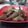 Cooksnap dari bundanya akhtar untuk resep Limpa Goreng Berbumbu