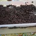 Cooksnap dari defika aufa untuk resep Roti Tawar Setup Vla Keju
