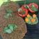 Rashmi Adhvaryu's cooksnap of when they made પાલક બેસન ચમચમિયા (Palak Besan Chamchamiya Recipe in Gujarati).