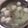 棠棠 的 冬瓜排骨湯 cooksnap