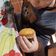 Tünde Sipos Cooksnap-ja, amikor elkészítette a(z) Almás répás muffin receptet.