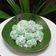 Cooksnap dari Nashwa Sahirah Nadya Ulya G Nurul Afiqah untuk resep Klepon