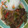 El cooksnap de Andrea Vargas cuando hizo Chapsui de Pollo.