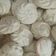 Cooksnap dari eka rahmawati untuk resep Cookies Tepung Garut