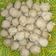 Cooksnap dari Ira Ffa untuk resep Bakso Daging frozen