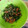 El cooksnap de Paola Haxel cuando hizo Ensalada de rúcula y queso parmesano.