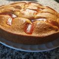 El cooksnap de Karen Zubiaurre cuando hizo Frola Tik Tokera.