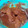 Cooksnap dari Habil Annasihin untuk resep Bistik Daging Sapi