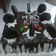 Cooksnap dari Fettya Sukmawati untuk resep Blackforest Anti Gagal