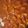El cooksnap de Karina Flores cuando hizo Camarones al chipotle.