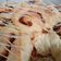 Cooksnap dari Sarah dwiA untuk resep Cinnamon rolls dijamin empuk cocok buat jualan
