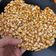 Alka Bhandari का कुकस्नैप जब उन्होंने मूंगफली की चिक्की (Mungfali ki chikki recipe in Hindi) बनाया था।