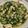 Sugar Tang 的 鹹蛋炒莧菜 cooksnap