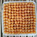 Cooksnap dari Tri Yunianti untuk resep Selai Nanas isi Nastar