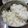 Urmila Gupta's cooksnap of when they made Jeera rice.