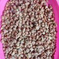 Cooksnap dari Ayi bin untuk resep Kacang Goreng Tepung (Kacang Disco)