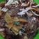 Cooksnap dari NabilaNasuha untuk resep Soto Banjar Ceker