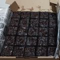 Cooksnap dari Devy untuk resep Fudgi brownis