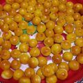 Cooksnap dari Yessa tjung untuk resep Nastar Klasik keju By. Fatmah bahalwan