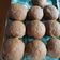 Cooksnap dari Riezka untuk resep Mexican Coffee Bun /Rotiboy