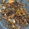 Cooksnap dari Suhaila Daud untuk resep Tumis Jantung Pisang Pedas