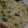 Stuti Buch's cooksnap of when they made ચીઝ ગાર્લિક બ્રેડ (Cheese Garlic Bread Recipe In Gujarati).