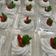 Cooksnap dari Istiqomah Fitriyani untuk resep #606 Kue Talam Abon