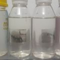 Cooksnap dari Rosi Kumala untuk resep Membuat Minyak VCO Dengan Teknik Fermentasi | Anti Gagal