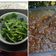 Cooksnap dari Nay Lestari untuk resep Rujak Kangkung / Brambang Asem