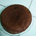 Cooksnap dari Rhea Dwie untuk resep Bolu Cokelat Kukus Nutrijell