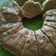 Cooksnap dari Wirda Hayati Nst untuk resep Bolkus pisang simpel