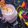 Monika gupta 's cooksnap of when they made Strawberry shake.