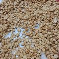 Cooksnap dari iicca Ramadhani28 untuk resep Kacang bawang empuk dan gurih