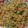 Disha Prashant Chavda's cooksnap of when they made ફ્રાઈડ રાઈસ (Fried Rice Recipe In Gujarati).