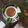 Hemaxi Patel's cooksnap of when they made આદુવાળી ચા (Ginger Tea Recipe In Gujarati).