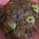 Cooksnap dari linda octaviani untuk resep Jengkol Balado