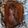 Theresa Flaherty's cooksnap of when they made Baked corned beef.