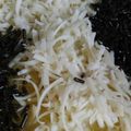 Cooksnap dari Kartini Sukaryo untuk resep Martabak bangka teflon