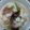 รูป Cooksnap ของ Alice Alisa Khotaphan เมื่อเขาทำ ต้มแซ่บขาหมู คีโต