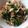 Cooksnap dari Niung Niung untuk resep Urap Sayur Rebon