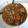 El cooksnap de Yo Misma cuando hizo Ternera en salsa con verduras en olla exprés rápida.
