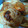 El cooksnap de irene2015 cuando hizo Empanada murciana.