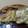 El cooksnap de Mario H. Davi cuando hizo Tortilla francesa rellena.