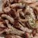 El cooksnap de Pilar Sanchez Muñoz cuando hizo Calamares a la plancha.