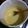 El cooksnap de Audrey cuando hizo Crema pastelera fácil para postres.