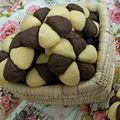 کوک اسنپ کیک 🎂 شیرینی🍩 گل نرگس 🌼 بعد از امتحان کردن بیسکویت های بای.
