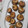 El cooksnap de Pedro Piter cuando hizo Champiñones Rellenos de Gambones al Ajillo 🧄.