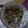 Cooksnap dari yunan medianto untuk resep Sawi daging saus tiram