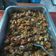 Cooksnap dari Ericaa Dewi Ariyanti untuk resep Tumis Terong Ungu