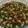 Ankita Mehta's cooksnap of when they made પાણીપુરી નું પાણી (Panipuri Pani Recipe In Gujarati).